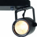 Бра Arte Lamp Lente A1310PL-2BK