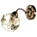 Бра Arte Lamp Alessandra A5004AP-1AB