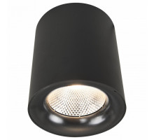Накладной светильник Arte Lamp 5118 A5118PL-1BK