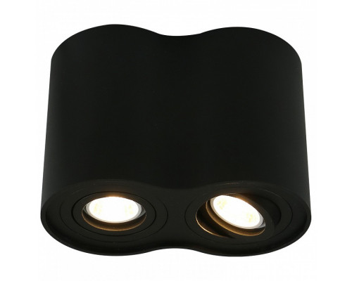 Накладной светильник Arte Lamp 5644 A5644PL-2BK