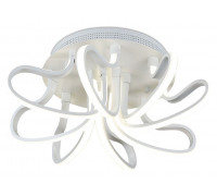 Накладной светильник Ambrella Metallic 1 FL309