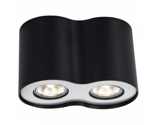 Накладной светильник Arte Lamp Falcon A5633PL-2BK