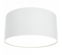 Накладной светильник Maytoni Zon C032CL-L12W3K