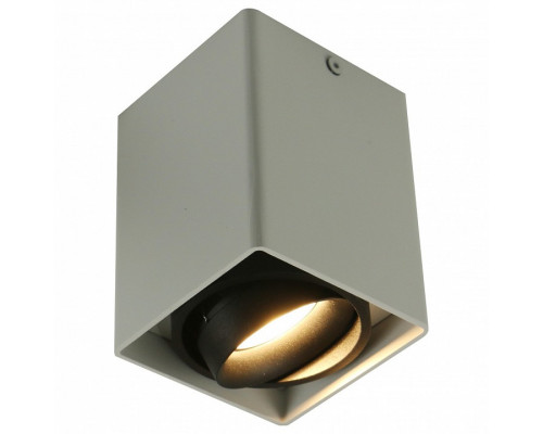 Накладной светильник Arte Lamp 5655 A5655PL-1WH