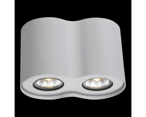 Накладной светильник Arte Lamp Falcon A5633PL-2WH