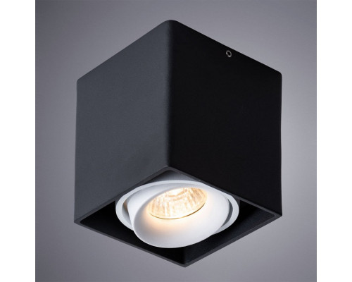 Накладной светильник Arte Lamp Pictor A5654PL-1BK