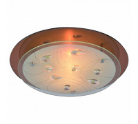 Накладной светильник Arte Lamp Tiana A4043PL-2CC