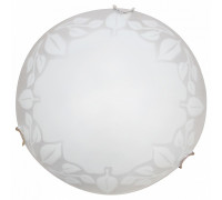 Накладной светильник Arte Lamp Symphony A4020PL-2CC