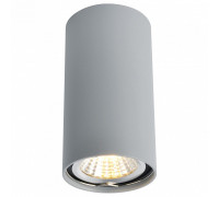 Накладной светильник Arte Lamp 1516 A1516PL-1GY