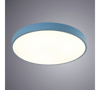 Накладной светильник Arte Lamp Arena A2661PL-1AZ