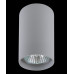 Накладной светильник Lightstar Rullo 214439