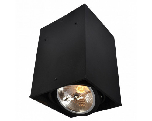 Накладной светильник Arte Lamp Cardani A5936PL-1BK