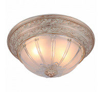 Накладной светильник Arte Lamp Piatti A8014PL-2WA