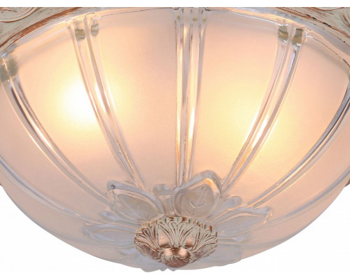 Накладной светильник Arte Lamp Piatti A8014PL-2WA