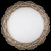 Накладной светильник Maytoni Marte H012CL-04G