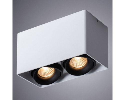 Накладной светильник Arte Lamp Pictor A5654PL-2WH