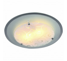 Накладной светильник Arte Lamp Ariel A4806PL-2CC