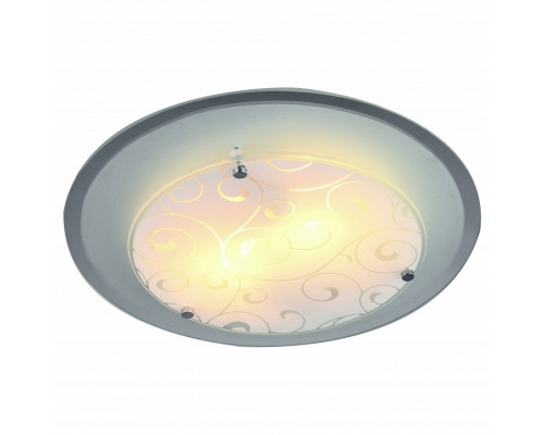 Накладной светильник Arte Lamp Ariel A4806PL-2CC