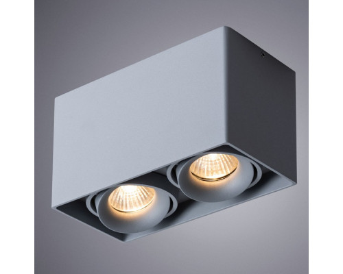 Накладной светильник Arte Lamp Pictor A5654PL-2GY