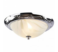 Накладной светильник Arte Lamp Alta A3008PL-2CC