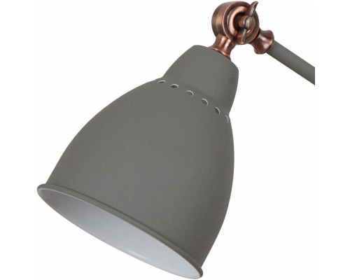 Настольная лампа офисная Arte Lamp Braccio A2054LT-1GY
