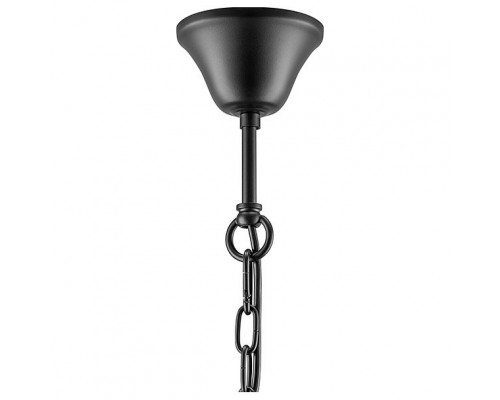 Подвесная люстра Lightstar Fiacolla 733067