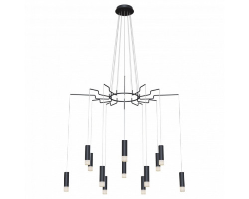 Подвесная люстра Maytoni Davida MOD035PL-12B