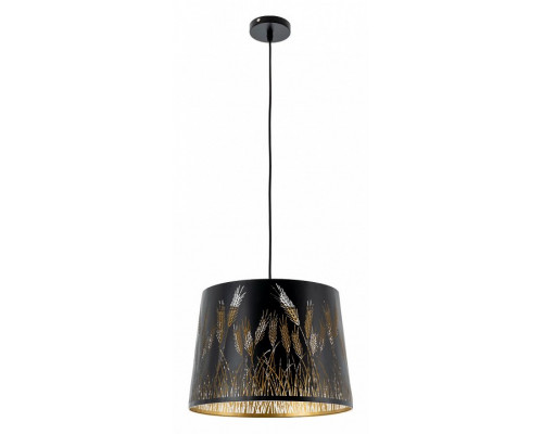 Подвесной светильник Arte Lamp Celesta A2700SP-1BK