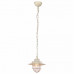 Подвесной светильник Arte Lamp 4579 A4579SP-1WG