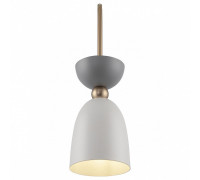 Подвесной светильник Maytoni Cloches MOD113PL-01W