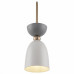 Подвесной светильник Maytoni Cloches MOD113PL-01W