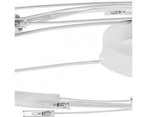 Потолочная люстра Lightstar Ovale 784246