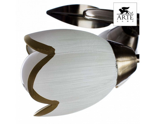 Потолочная люстра Arte Lamp Perce A6061PL-4AB