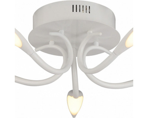 Потолочная люстра Arte Lamp 9442 A9442PL-5WH