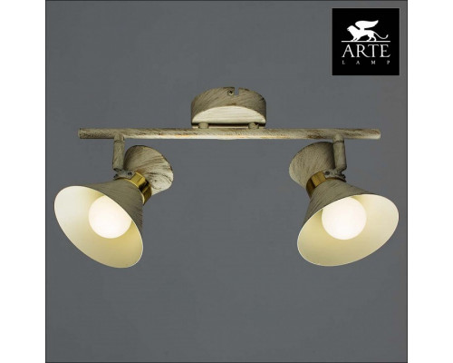 Спот Arte Lamp Baltimore A1406AP-2WG