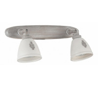 Спот Maytoni Agnes SP289-CW-02-BG