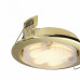 Встраиваемый светильник Maytoni Metal DL293-01-G