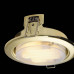 Встраиваемый светильник Maytoni Metal DL293-01-G